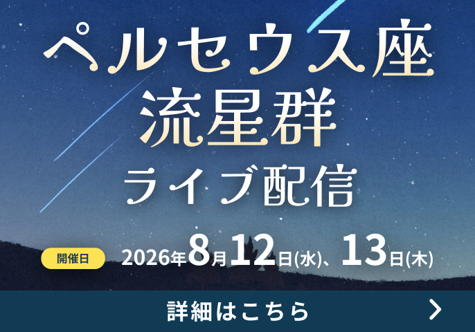ペルセウス座流星群ライブ配信